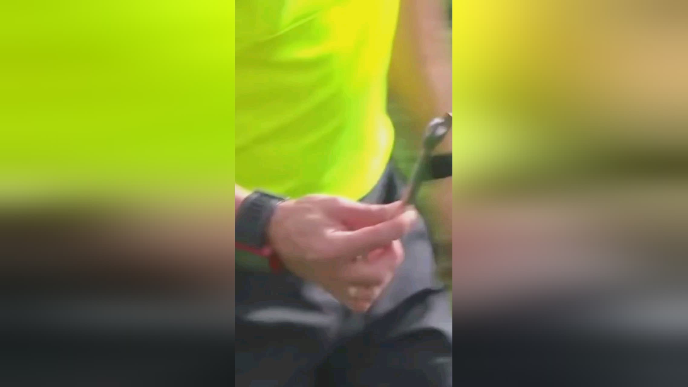 是引